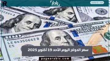 سعر الدولار اليوم الأحد 19 أكتوبر 2025 في البنوك المصرية يتراجع ويرتفع